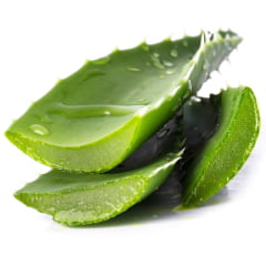 PURO GEL DE ALOE VERA - 120 ML