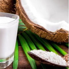 LEITE DE COCO EM PÓ VEGANO